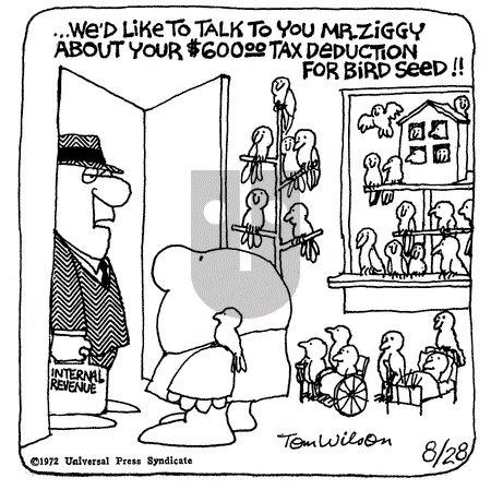 Ziggy - Monday August 28, 1972 Comic Strip