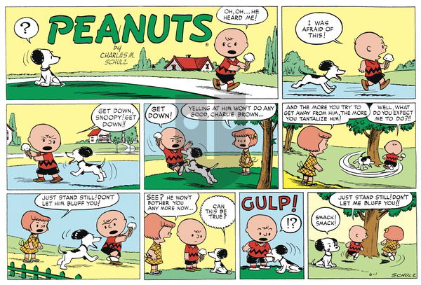 Peanuts Begins on Saturday May 3, 2025 Comic Strip