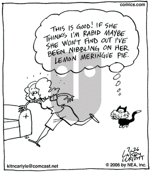 Kit 'N' Carlyle on Wednesday July 26, 2006 Comic Strip