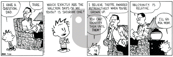 Calvin and Hobbes on Tuesday July 28, 1992 Comic Strip