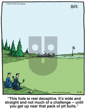 In the Bleachers on Saturday May 12, 2007 Comic Strip