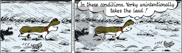 Fred Basset - Wednesday January 22, 2020 Comic Strip