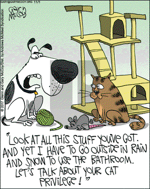 The Flying McCoys on Wednesday November 1, 2017 Comic Strip