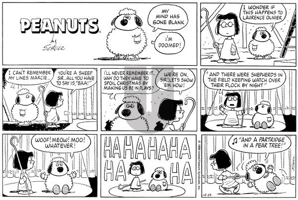 Peanuts on Sunday December 25, 1988 Comic Strip