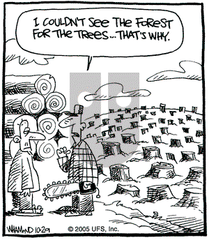 Reality Check on Saturday December 10, 2005 Comic Strip