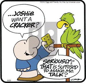 Ziggy on Thursday June 23, 2016 Comic Strip