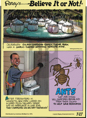 Ripley's Believe It or Not on Friday July 27, 2018 Comic Strip
