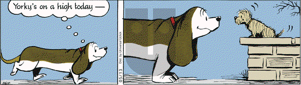 Fred Basset on Thursday May 13, 2010 Comic Strip