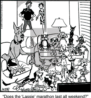 Marmaduke on Saturday June 28, 2008 Comic Strip