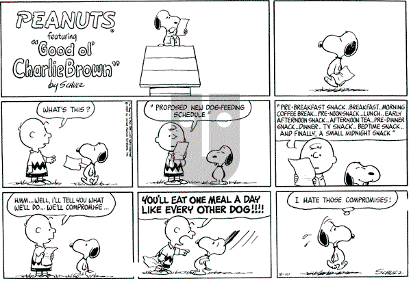 Peanuts - Sunday August 10, 1969 Comic Strip