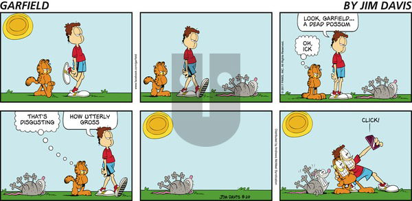Garfield on Sunday August 20, 2017 Comic Strip