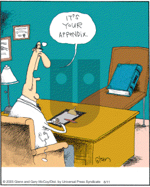 The Flying McCoys on Monday September 26, 2005 Comic Strip