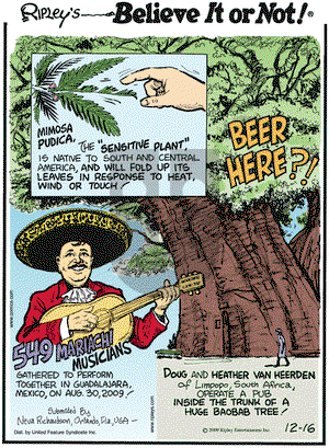 Ripley's Believe It or Not on Wednesday December 16, 2009 Comic Strip
