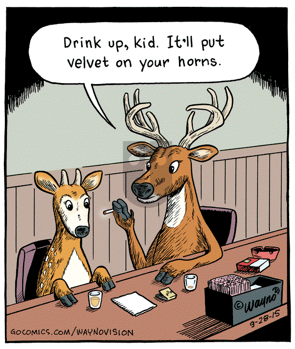 WaynoVision on Monday September 28, 2015 Comic Strip