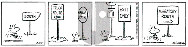 Peanuts on Thursday September 29, 1977 Comic Strip