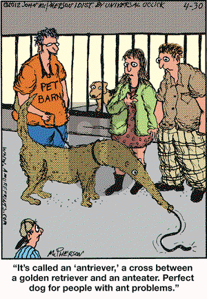 Close to Home on Monday April 30, 2012 Comic Strip