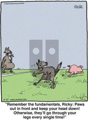 In the Bleachers on Monday May 31, 2004 Comic Strip