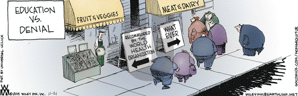 Non Sequitur on Saturday November 21, 2015 Comic Strip