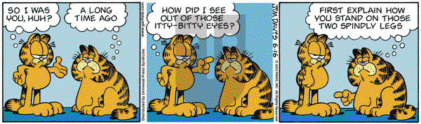 Garfield - Monday June 16, 2003 Comic Strip