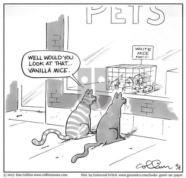 Looks Good on Paper on Monday April 7, 2025 Comic Strip