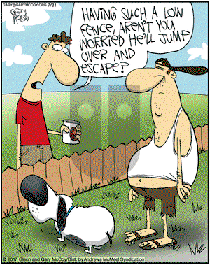 The Flying McCoys on Monday July 31, 2017 Comic Strip