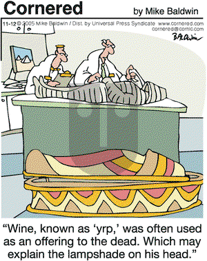 Cornered on Saturday November 12, 2005 Comic Strip