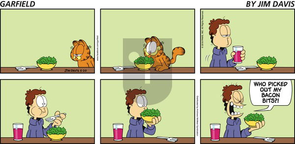 Garfield on Sunday May 20, 2018 Comic Strip