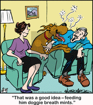 Marmaduke on Tuesday August 19, 2014 Comic Strip