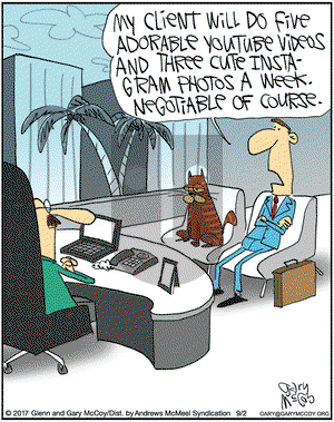 The Flying McCoys on Saturday September 2, 2017 Comic Strip