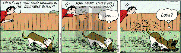 Fred Basset on Wednesday August 22, 2012 Comic Strip