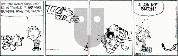Calvin and Hobbes on Monday June 8, 2015 Comic Strip