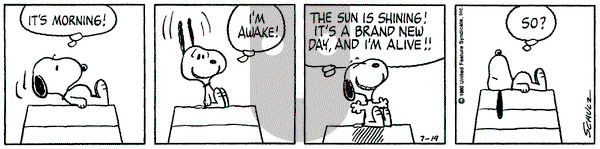 Peanuts on Saturday July 19, 1980 Comic Strip