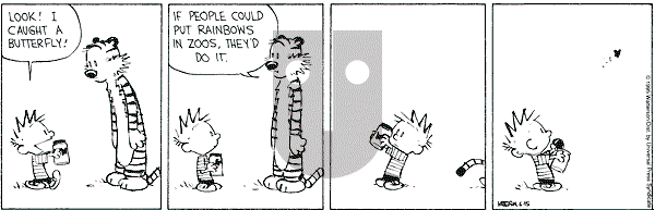 Calvin and Hobbes - Thursday June 15, 1995 Comic Strip