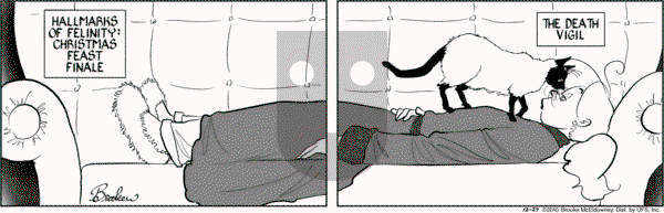 9 Chickweed Lane on Monday December 27, 2010 Comic Strip