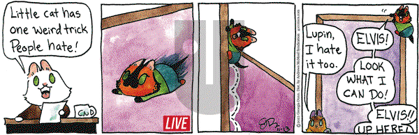 Breaking Cat News - Monday November 13, 2023 Comic Strip