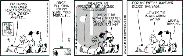 Over the Hedge on Saturday August 22, 1998 Comic Strip