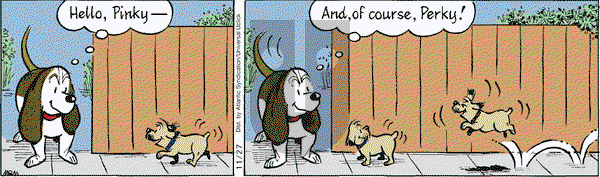 Fred Basset on Friday November 27, 2009 Comic Strip