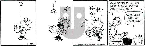 Calvin and Hobbes - Thursday May 18, 1995 Comic Strip