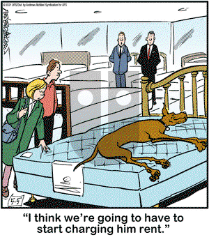 Marmaduke on Wednesday May 5, 2021 Comic Strip