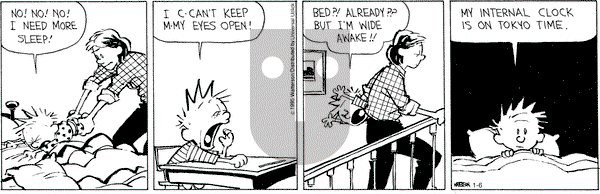 Calvin and Hobbes on Tuesday January 6, 2015 Comic Strip