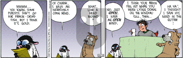 Get Fuzzy on Saturday October 31, 2009 Comic Strip