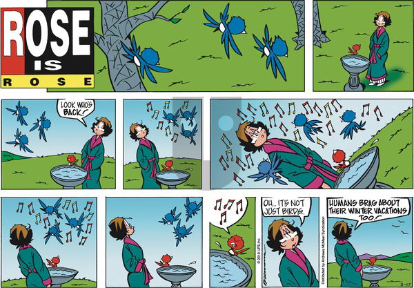 Rose is Rose on Sunday March 17, 2019 Comic Strip
