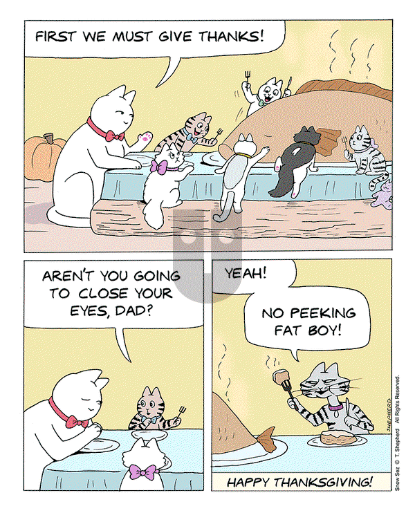 Snow Sez on Thursday November 28, 2024 Comic Strip