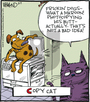 Reality Check on Thursday February 7, 2019 Comic Strip