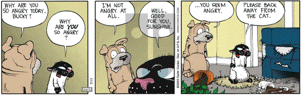 Get Fuzzy on Tuesday May 13, 2003 Comic Strip