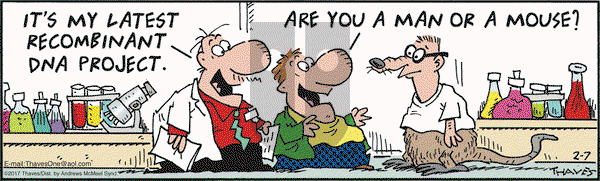 Frank and Ernest on Tuesday February 7, 2017 Comic Strip