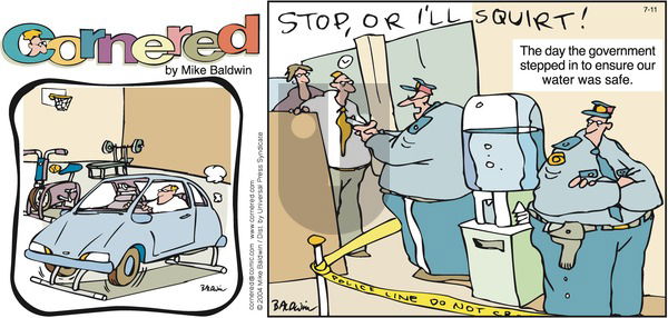 Cornered on Sunday July 11, 2004 Comic Strip