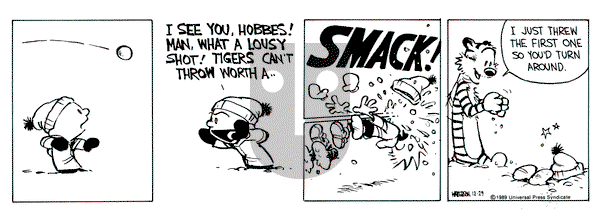 Calvin and Hobbes on Friday December 29, 1989 Comic Strip