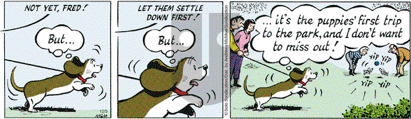 Fred Basset on Tuesday December 3, 2019 Comic Strip