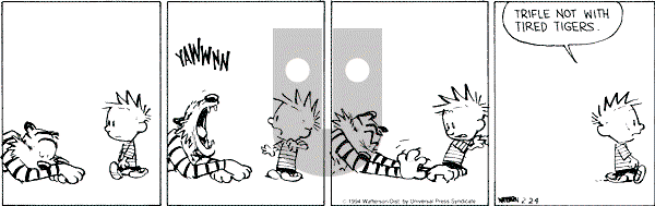 Calvin and Hobbes - Thursday February 24, 1994 Comic Strip